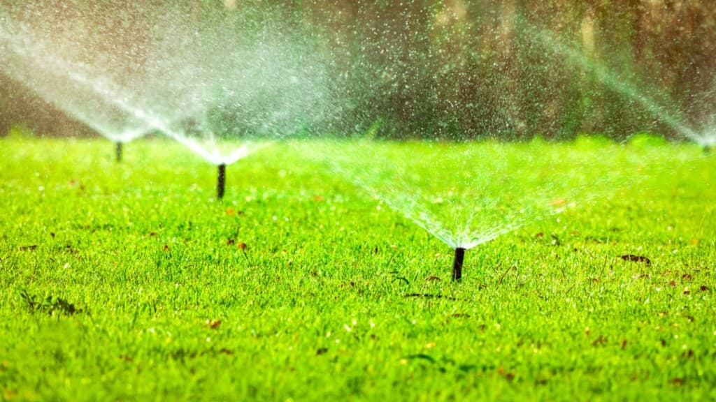 Lush green lawn being watered by irrigation sprinklers