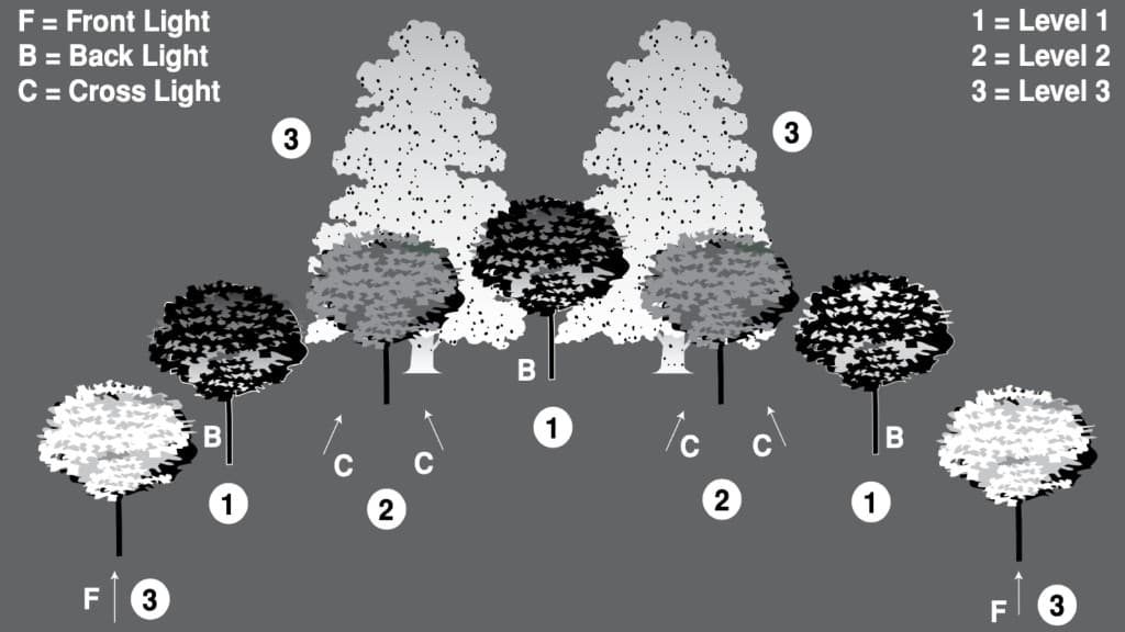 Schéma des techniques d'éclairage extérieur : lumière frontale, contre-jour et lumière croisée appliquées aux arbres à différents niveaux